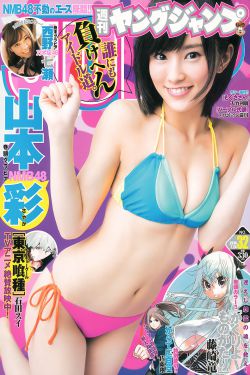 流浪老师除了韵母攻略还有什么书